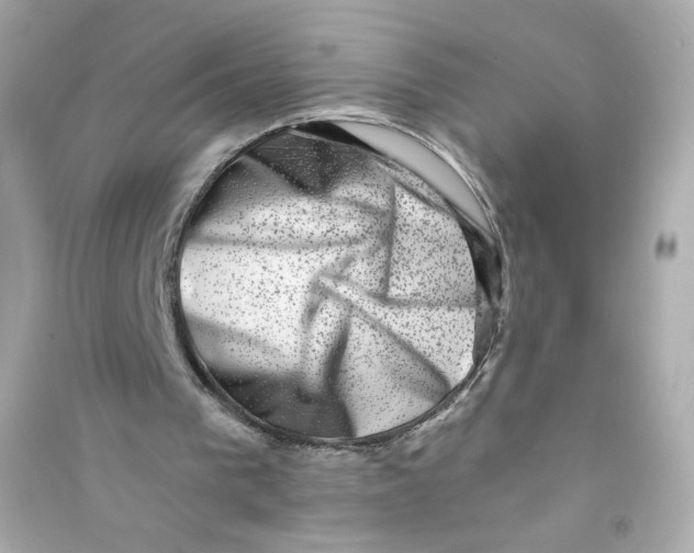 X0000090420193200708101950