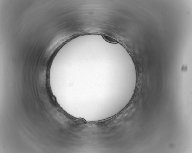 X0000090420194200708101950