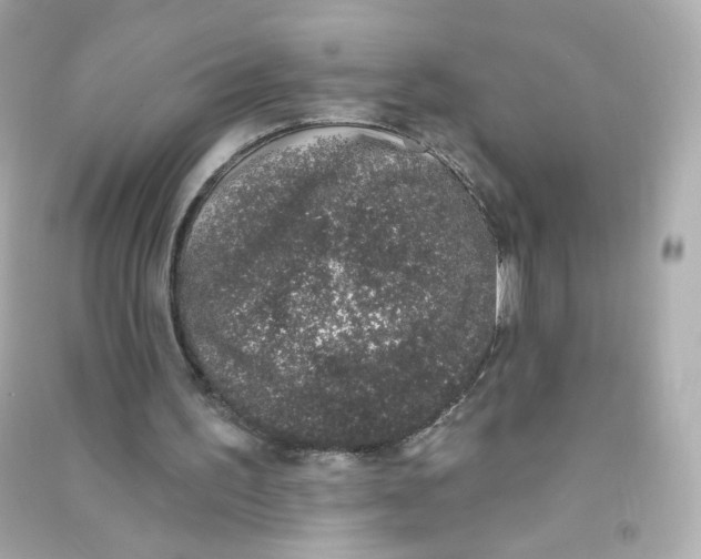 X0000090420195200708101950
