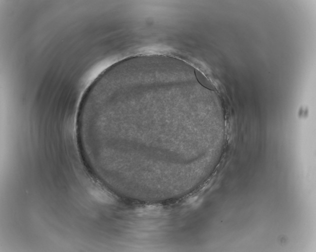 X0000090420196200708101950