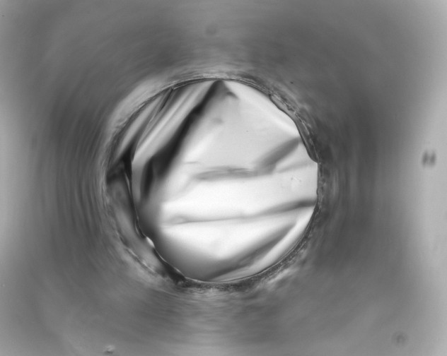 X0000090420197200708101950
