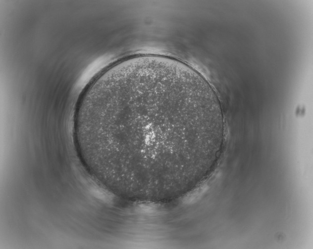 X0000090420199200708101950