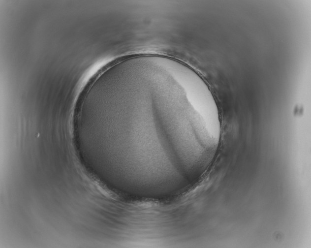 X0000090420200200708101950