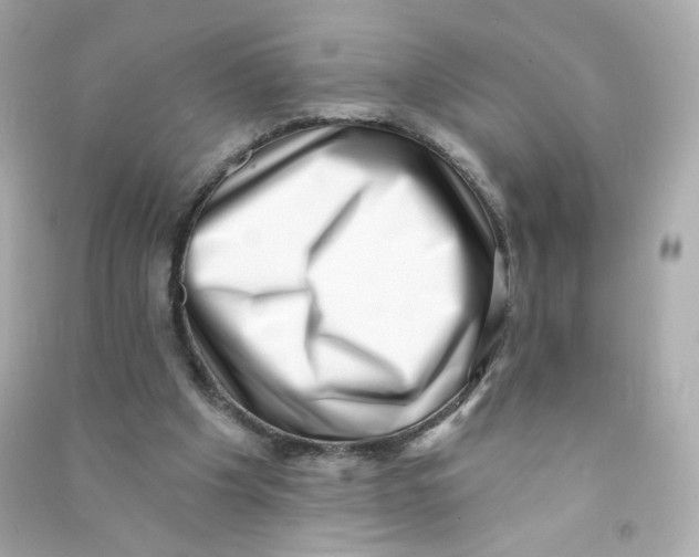 X0000090420201200708101950