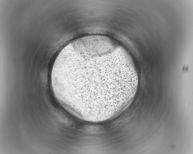 X0000090420202200708101950