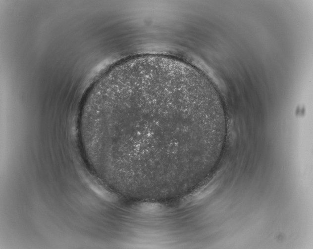X0000090420203200708101950