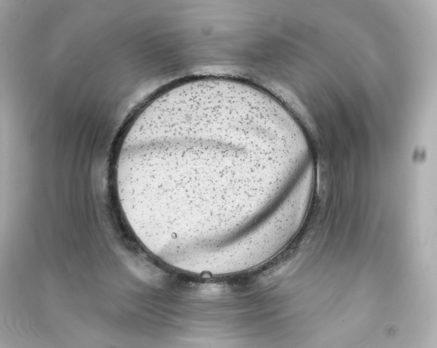 X0000090420204200708101950