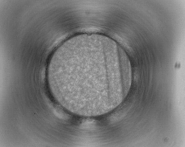 X0000090420206200708101950