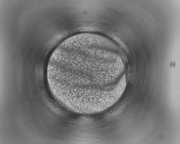 X0000090420207200708101950