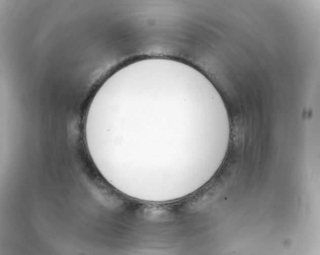 X0000090420208200708101950