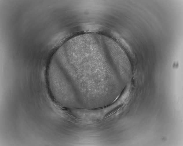 X0000090420209200708101950