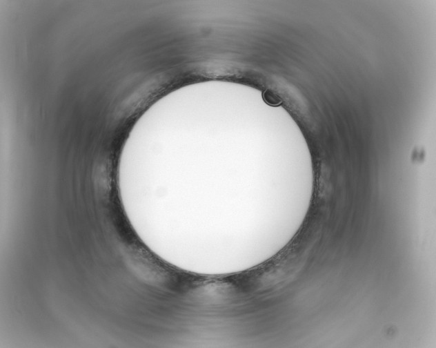 X0000090420210200708101950