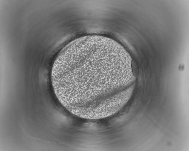 X0000090420211200708101950