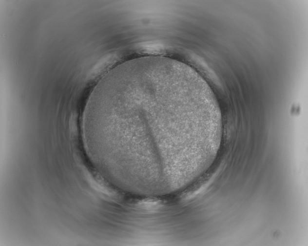 X0000090420213200708101950