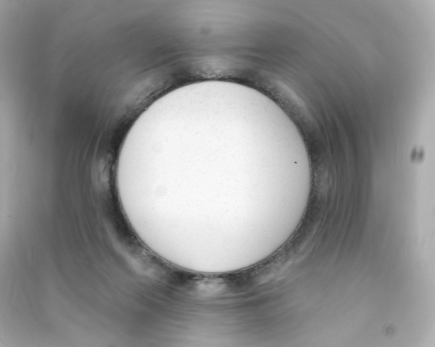 X0000090420214200708101950