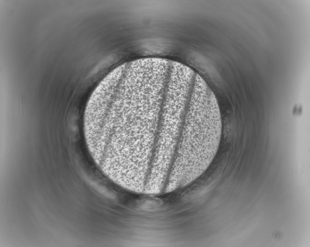 X0000090420215200708101950