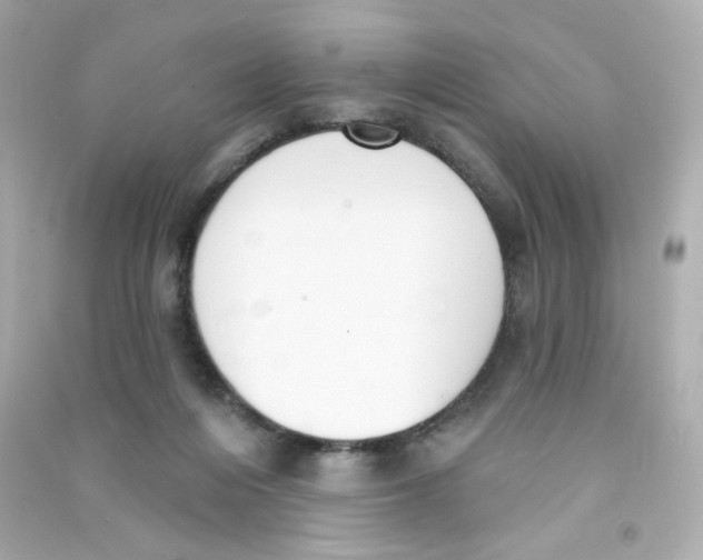 X0000090420216200708101950