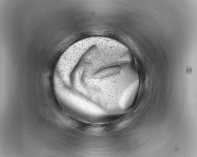 X0000090420217200708101950