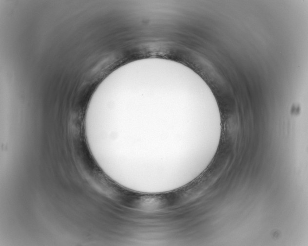 X0000090420218200708101950