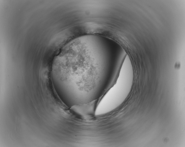 X0000090420219200708101950
