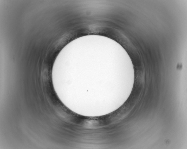 X0000090420220200708101950