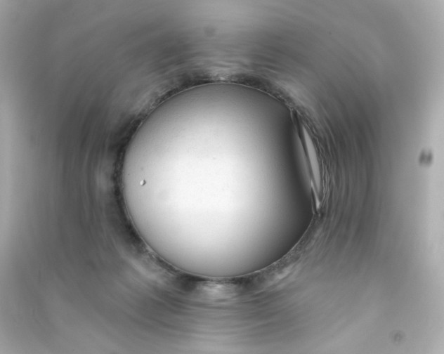 X0000090420221200708101950