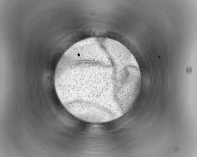 X0000090420222200708101950