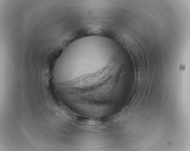 X0000090420223200708101950