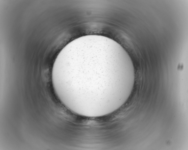 X0000090420224200708101950