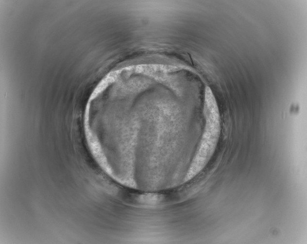 X0000090420225200708101950