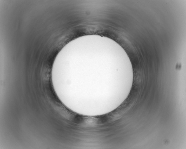 X0000090420226200708101950
