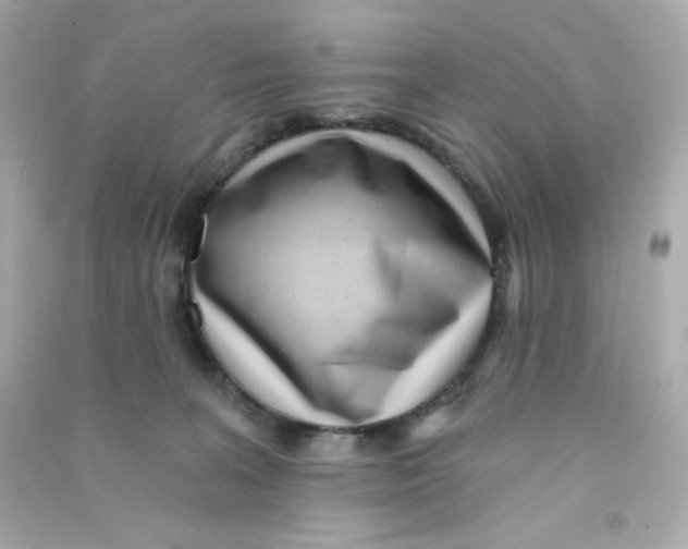 X0000090420227200708101950