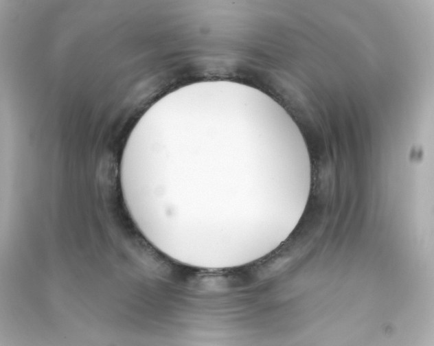X0000090420228200708101950