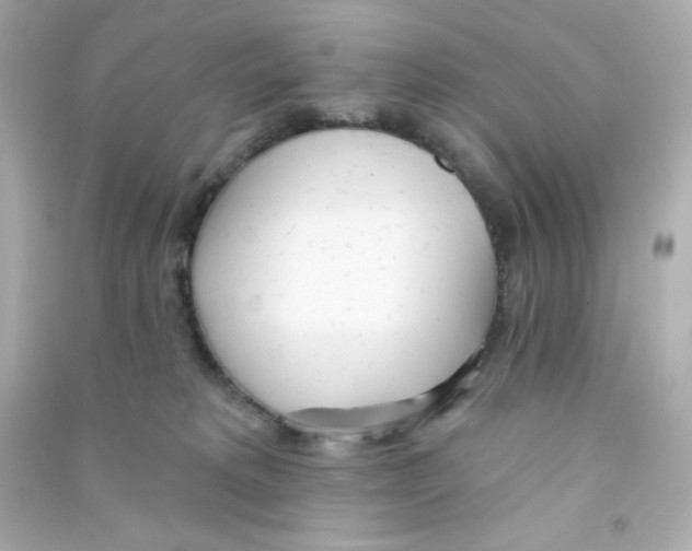 X0000090420229200708101950