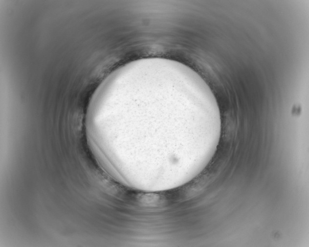 X0000090420230200708101950