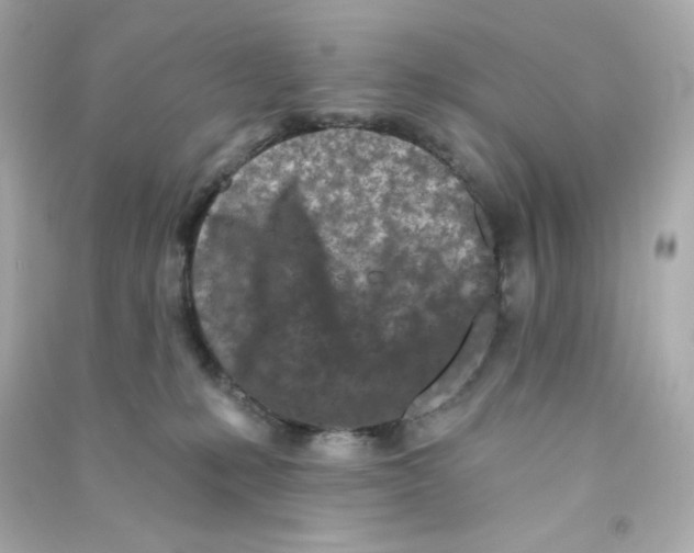 X0000090420231200708101950