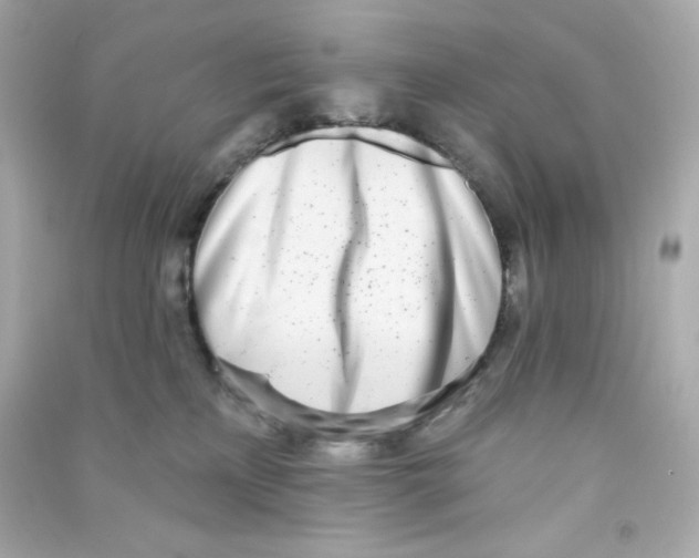 X0000090420233200708101950