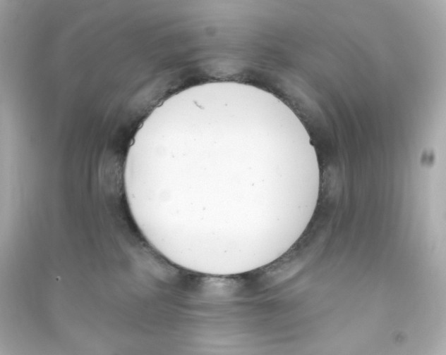 X0000090420234200708101950