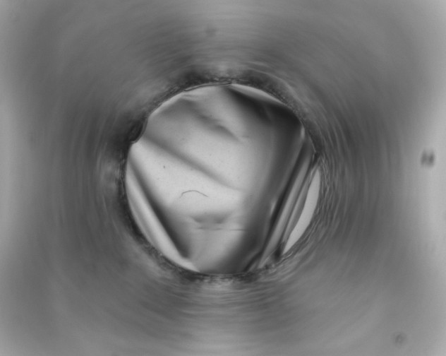 X0000090420235200708101950