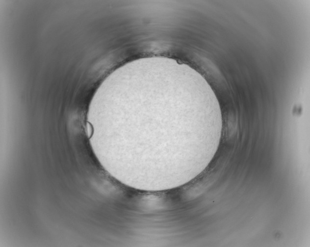 X0000090420236200708101950