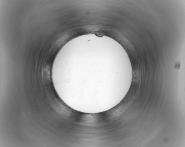 X0000090420238200708101950