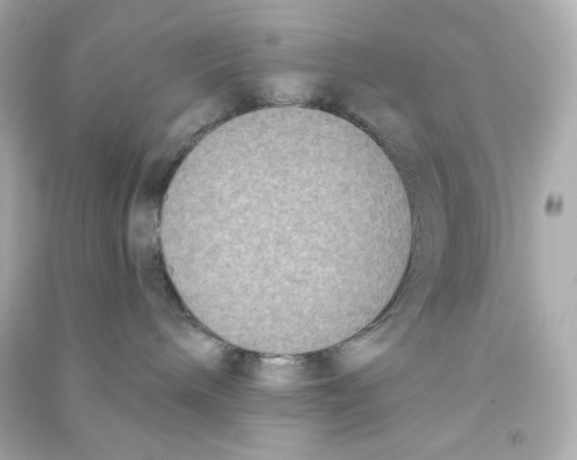 X0000090420240200708101950