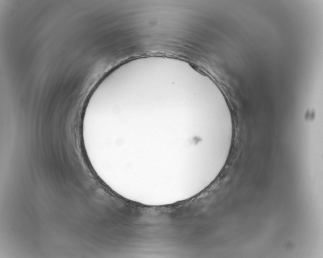 X0000090420241200708101949