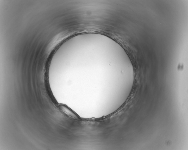 X0000090420242200708101949