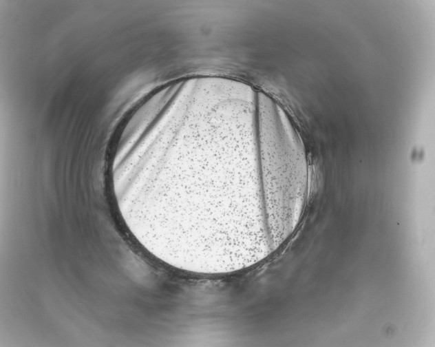 X0000090420243200708101949