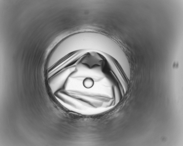 X0000090420244200708101949