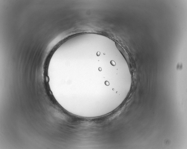 X0000090420246200708101949