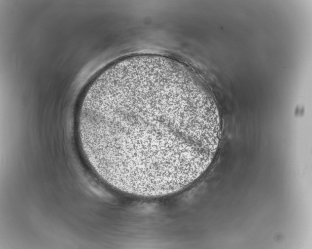 X0000090420247200708101949