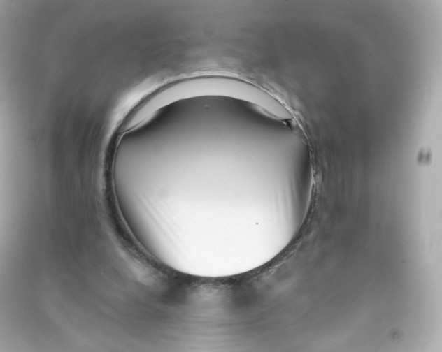 X0000090420248200708101949
