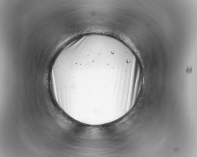 X0000090420249200708101949
